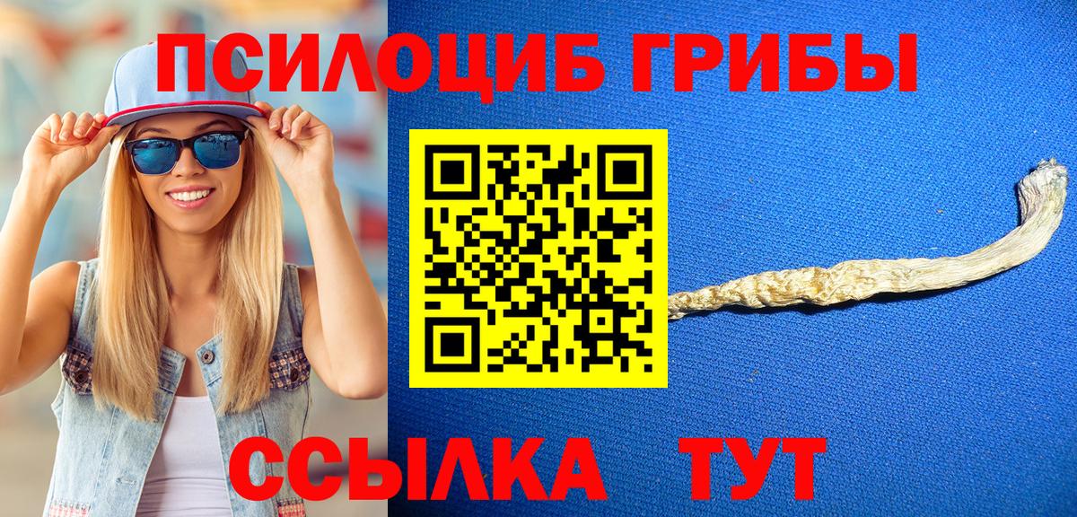 Галлюциногенные грибы мицелий Балабаново